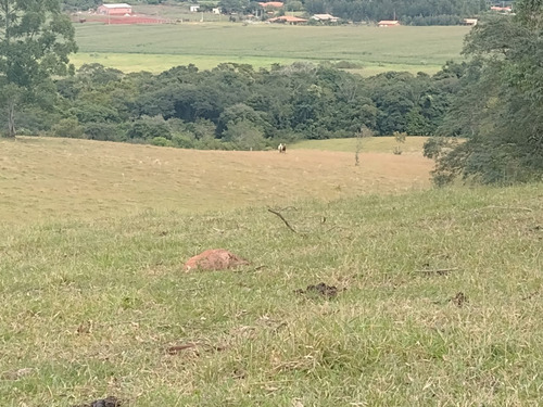 Imagem 10 de 30 de Chácara 4,5 Alqueires Casa Simples E Boa,poço Caipira Agua Cristalina,corrego No Fundo,fácil Acesso 800mts Do Asfalto,ótimo Pasto,27 Kms Itapetininga - Ch00081 - 69505662