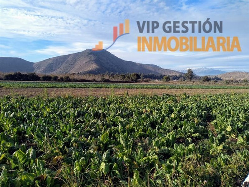 Imagen 7 de 10 de Parcela En Venta En Calera De Tango