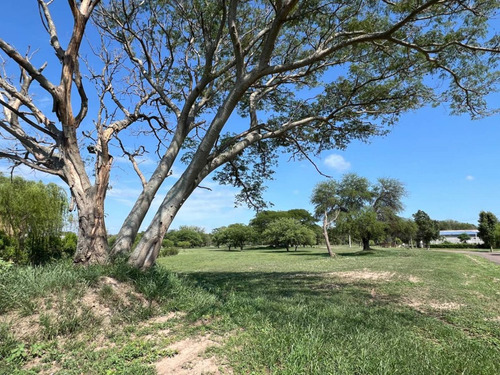 Venta De Lote En Barrio El Timbo