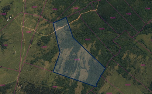 Imagen 8 de 8 de Venta Chacra 13 Has Sierras Minas Ruta 60 Arroyo