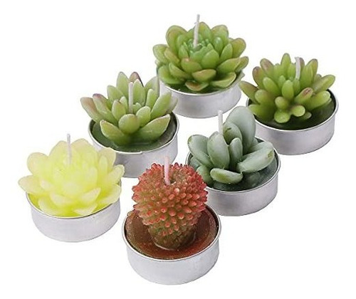 Velas De Cactus, Hechas A Mano, Delicadas Velas De Cactus Su