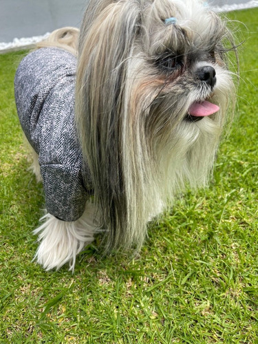 Imagen 1 de 8 de Chaqueta Acolchada Para Perros Royal Con Broches