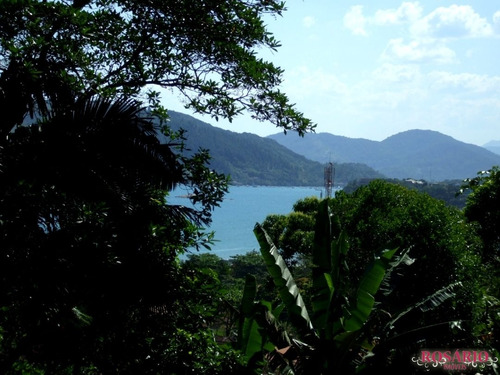 Imagem 10 de 14 de Terreno Com Vista Panorâmica Para O Mar Em Praia Da Enseada! - Vt301
