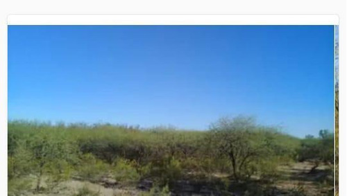 Imagen 7 de 19 de Campo - El Chacho