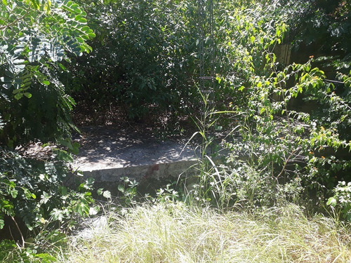 Imagen 5 de 7 de Terreno En La Fuente A Pie De Montaña