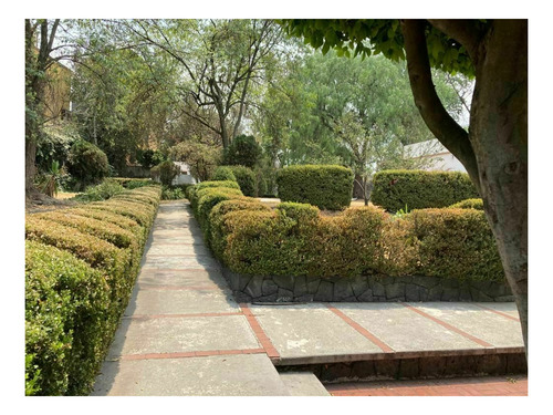 Imagen 3 de 13 de Excelente Terreno En La Mejor Zona De Jardines Del Pedregal