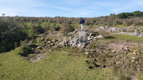 100 Hectáreas En Las Flores Ruta Interbalnearia