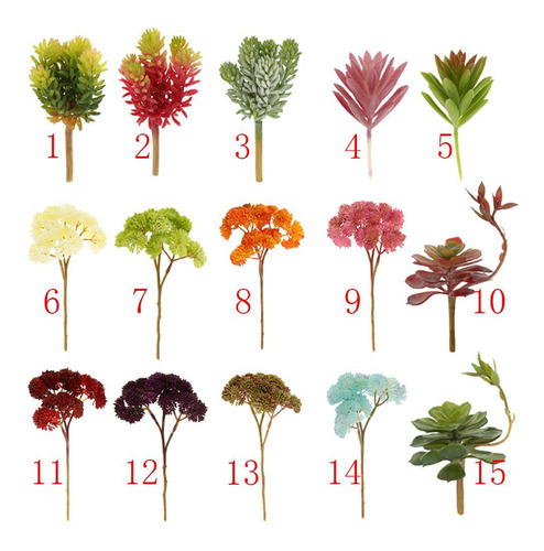 Planta Real Táctil