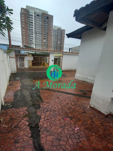 Imagem 9 de 13 de Ótimo Terreno Com Casa Antiga Vila Homero Thon! - Te00148 - 70765192