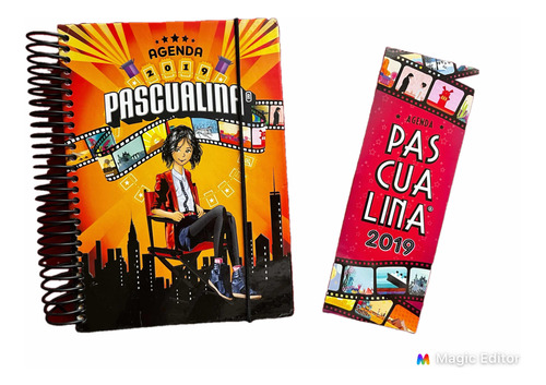 Agenda Pascualina 2019 Con Separador, Todos Los Stickers