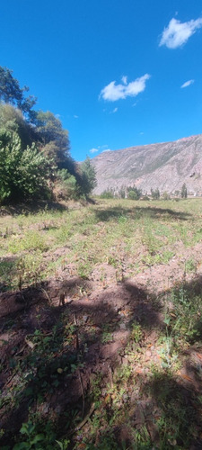 Terreno En Venta, Yucay Cusco
