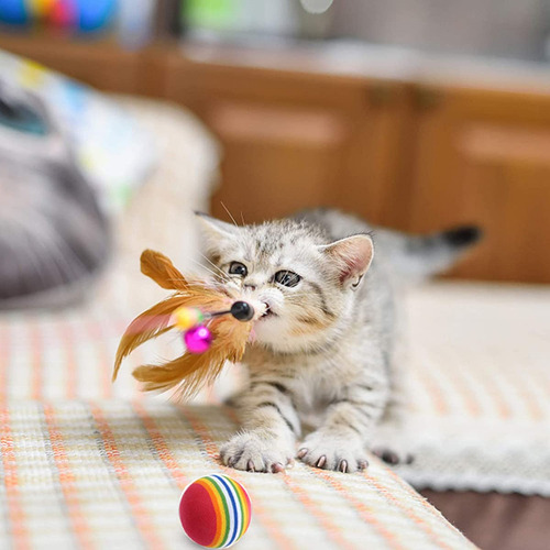 Funny Toy TĂșnel Para Gatos De 11/20 Piezas, Juego