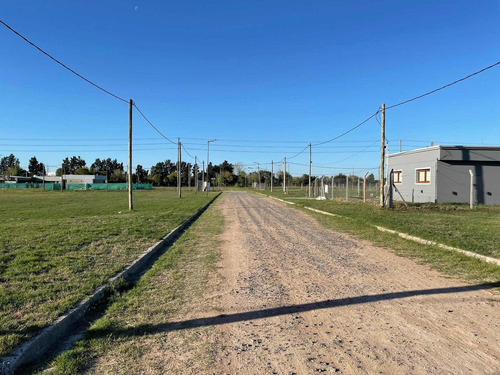 Imagen 3 de 6 de Terreno En Venta - 600mts2 - Gorina