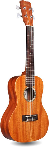 Ukulele Concierto Cordoba 20cm Solid Top Mahogany Concert