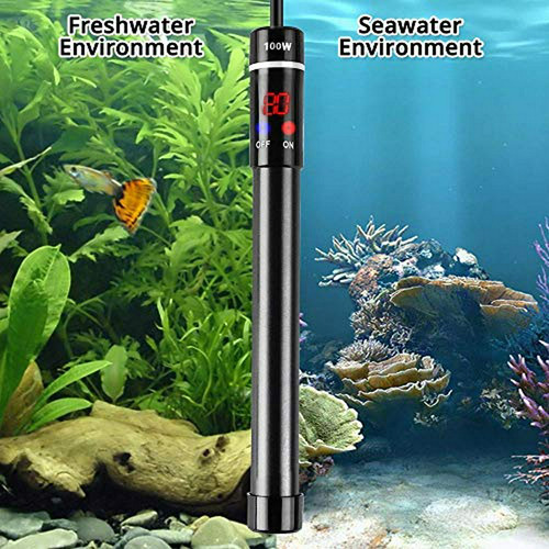 Calentador De Acuario Mq Titanium Alloy 200w Para Agua Salad