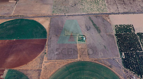Oportunidad¡¡ Venta De Rancho Agricola En Poblado Del Sauz, Fergo