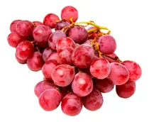 Comprar Parras Uva Red Globe Árbol Frutal Injertado 1 M Hermosas
