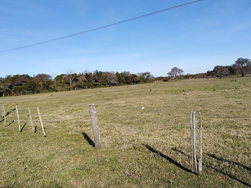 Imagen 22 de 24 de Venta Campo Ganadero Vera Y Pintado Ganadero 462 Ha ($1300)