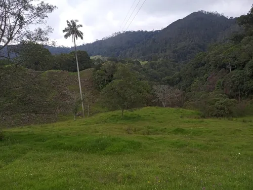 Se Vende Finca De 22 Hectáreas, Vía Duitama - Charala !valor Negociable!