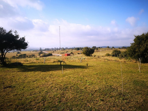 Imagen 22 de 30 de Venta De Chacra Con Vivienda, Ruta 12 Próximo A Pueblo Edén