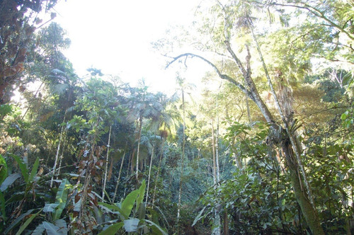Sítio Granja Redenção