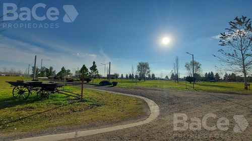 Imagen 3 de 11 de Venta Terreno En Pinares Del Sur - Oportunidad