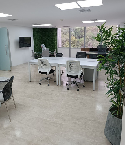 Alquiler Oficina Centro Gerencial De Lujo, Macaracuay