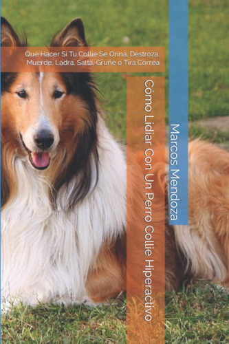 Libro: Cómo Lidiar Con Un Perro Collie Hiperactivo: Qué Hace