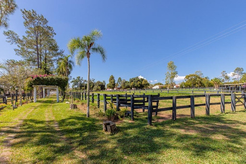 Imagem 6 de 30 de Fazenda À Venda No Bairro Sarapuí - Sarapuí/sp - O-8420-17443