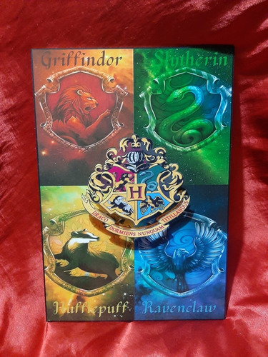Cuadros De Madera Grandes 3d Harry Potter 8