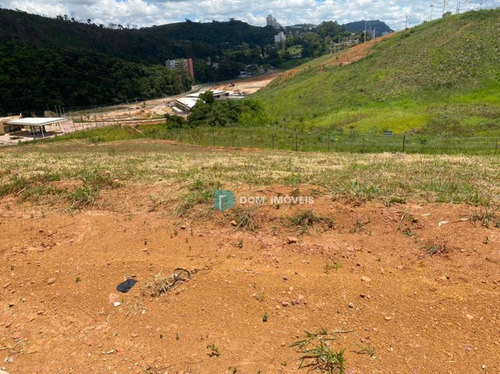 Terreno À Venda, 350 M² Por R$ 399.000,00 - Estrela Alta - Juiz De Fora/mg - Te0218
