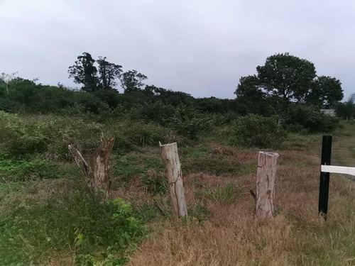 Terreno Venta 1358m² Carr Tuxpan Tamiahua En Tuxpan Veracruz