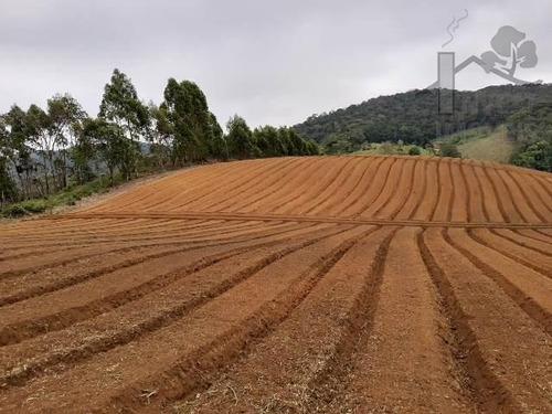 Imagem 3 de 15 de Cód 4204- Excelente Terreno Em Ibiúna. - 4204