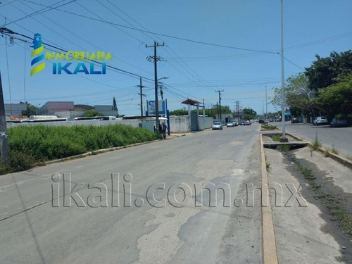 Imagen 6 de 9 de Local Comercial En Renta Del Valle