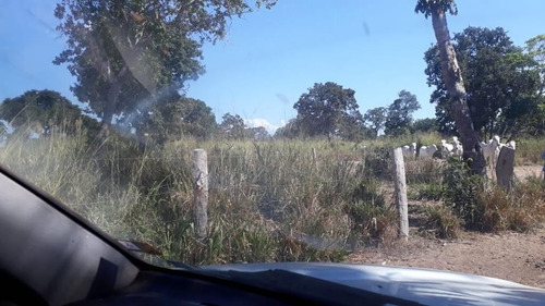 Imagem 12 de 17 de Fazenda - Área Rural A Venda Em Barão De Melgaço - Mt - Fa0191