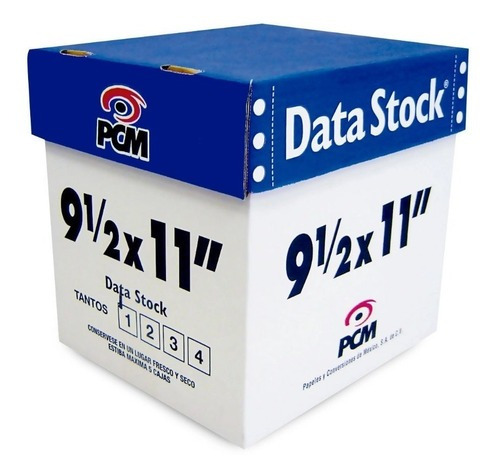 Papel Pcm Data Stock 9.5x11  3tanto C/1000 Hojas 10r4247 /vc