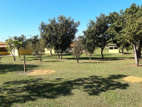 Imagem 10 de 30 de Venda: Ótima Propriedade Rural Entre Agudos-bauru - Si00006