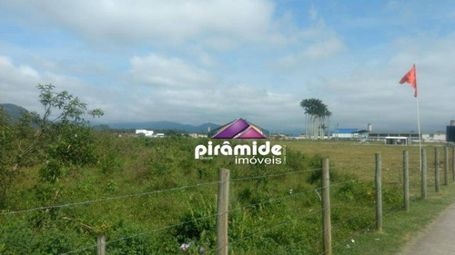 Imagem 7 de 12 de Terreno À Venda, 10000 M² Por R$ 10.000.000,00 - Travessão - Caraguatatuba/sp - Te0906
