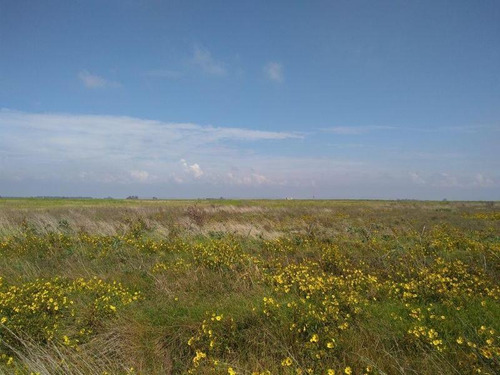 Imagen 3 de 7 de Campo En Venta En Balcarce