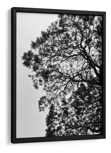 Cuadro Enmarcado Negro Ramales Ii, Blanco Y Negro 30x40
