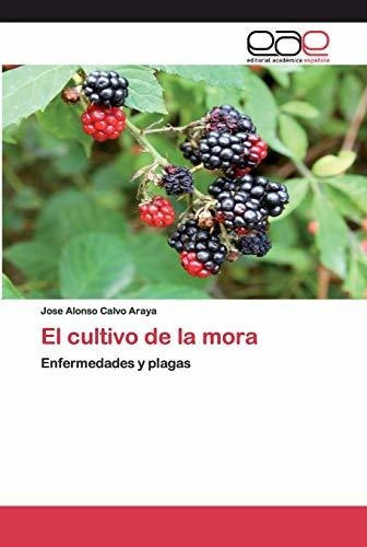 El Cultivo De La Mora: Enfermedades Y Plagas, De Calvo Araya, Jose Alonso. Editorial Académica Española, Tapa Tapa Blanda En Español