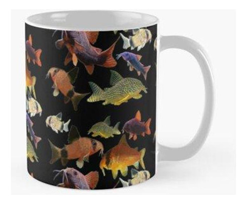 Taza Collage Corydoras Calidad Premium