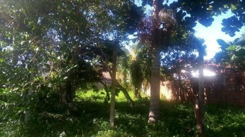 Imagem 3 de 5 de Lote De 312m² No Bairro Palmeiras A 900 Metros Do Mar