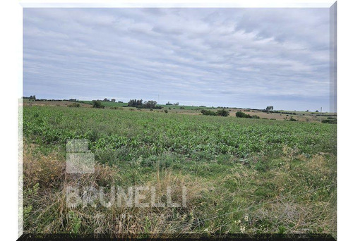 Venta-oportunidad, Campo De 40  Ha.  Agrícola-ganadero, Con Mejoras