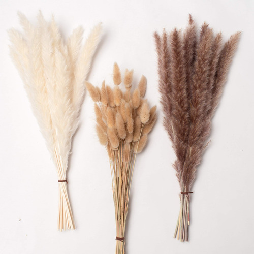 30 Pampas Hierba Seca Natural +60 Hierba Natural Cola Conejo