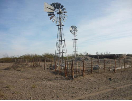 Imagen 8 de 14 de Campo - La Pampa Caleu Caleu