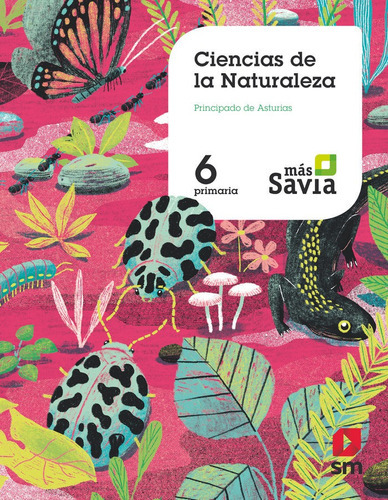 Ciencias Naturales. 6 Primaria. Mãâ¡s Savia. Asturias, De González Martínez, Montserrat. Editorial Ediciones Sm, Tapa Blanda En Español