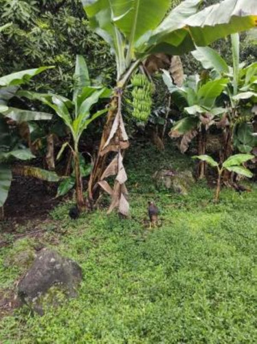 Imagem 12 de 12 de Chácara Com 02 Lagos E Árvores Frutíferas, Em Itariri, No Bairro Três Barras Ref: 8583/ac