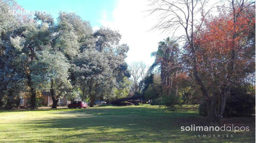 Imagen 3 de 18 de Excelente Terreno De 7500 M2 - Villa Rosa