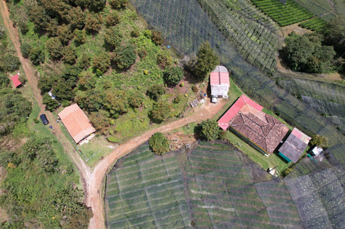 Finca Vereda La Amapola A 15 Min De La Ceja Ant